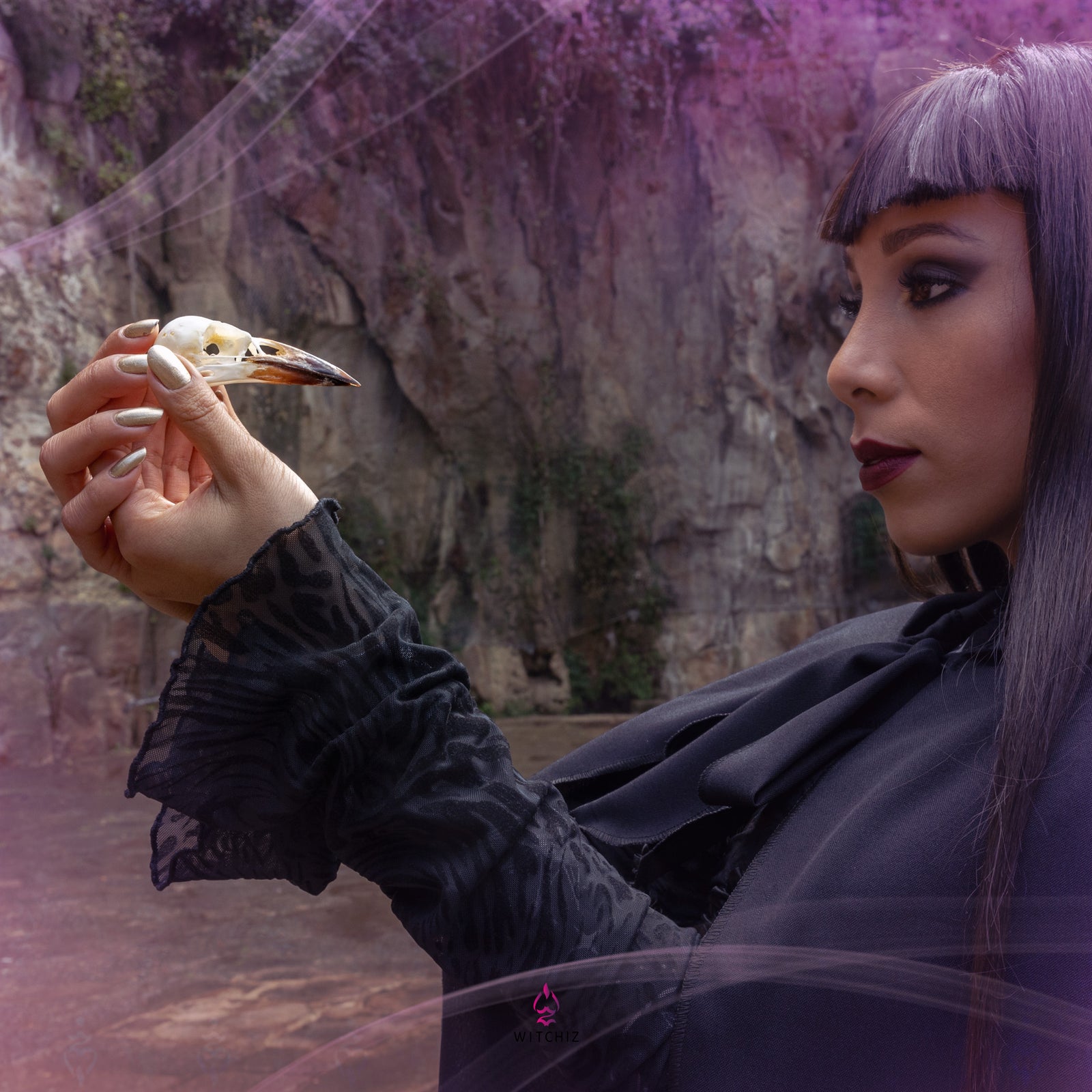 Crane de Corbeau, Divination, Invocation | Witchiz