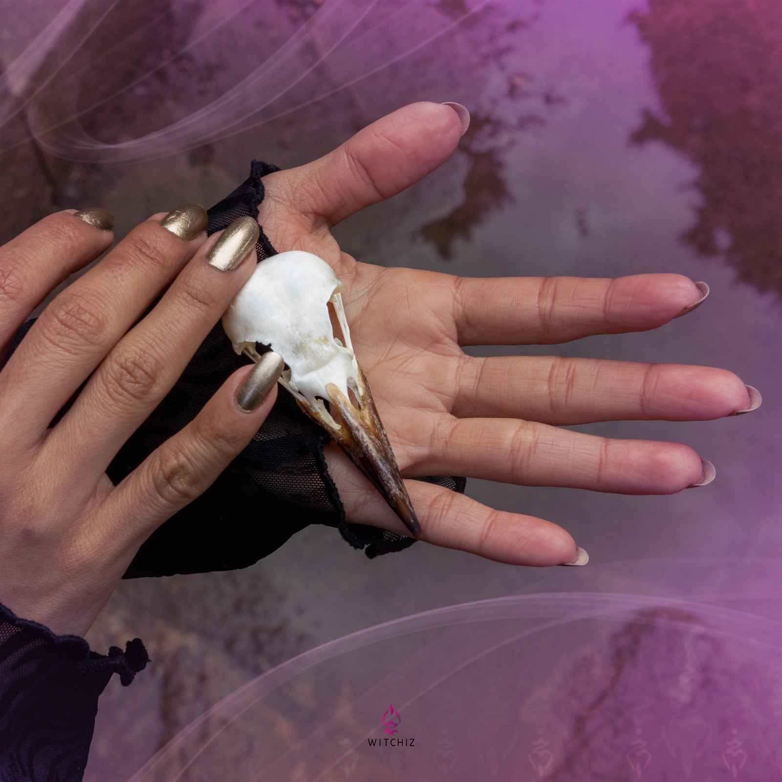 Crane de Corbeau, Divination, Invocation | Witchiz