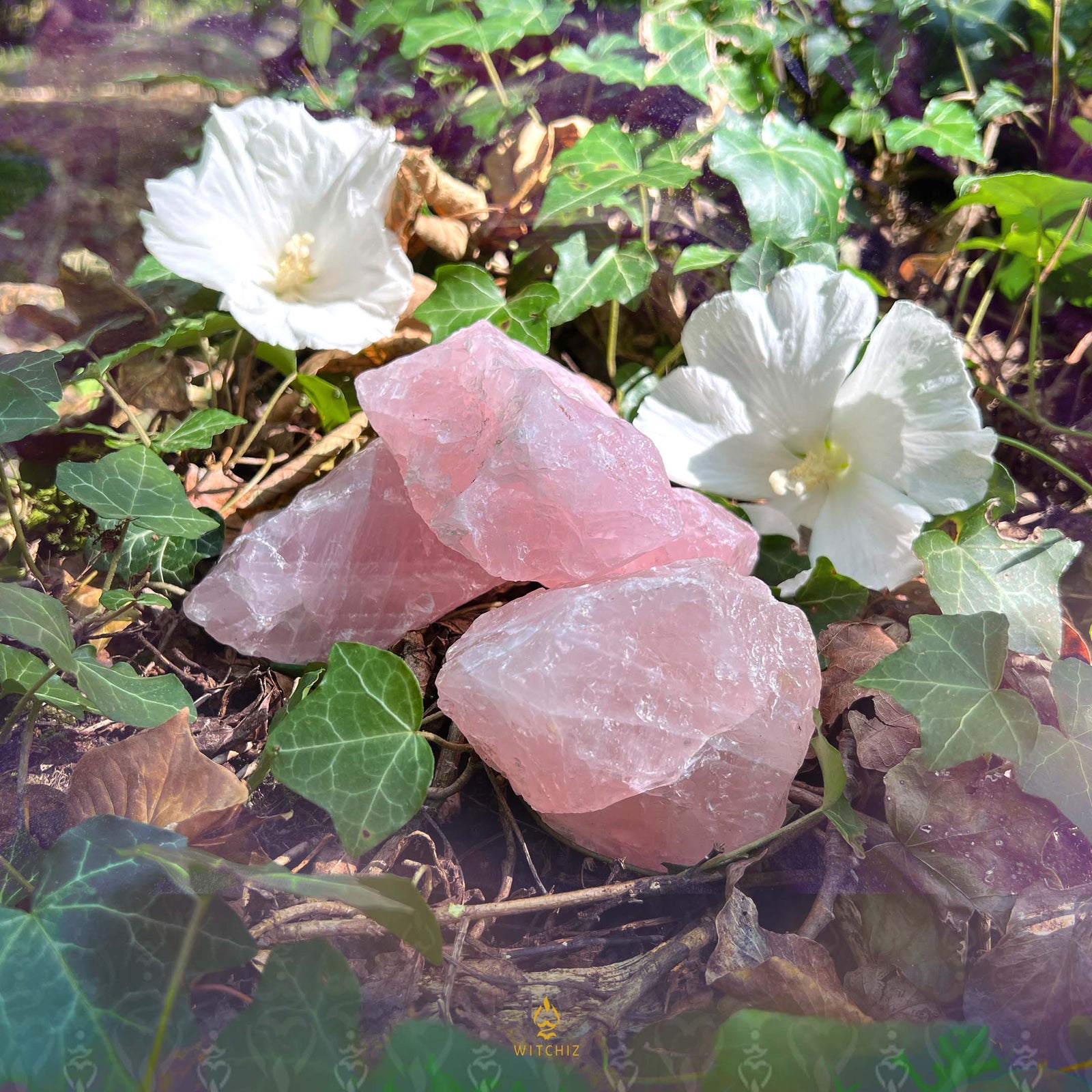 Pierre Brute de Quartz Rose