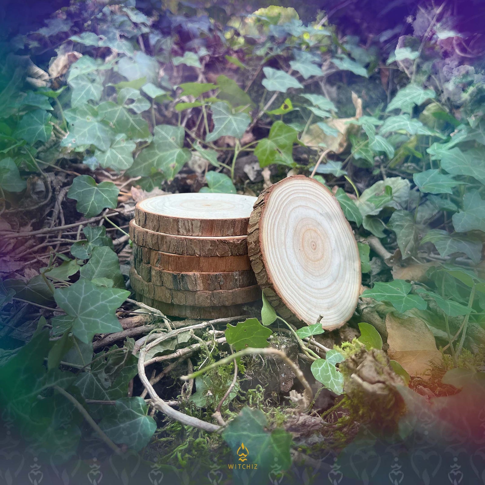 Rondin de Bois de Cèdre